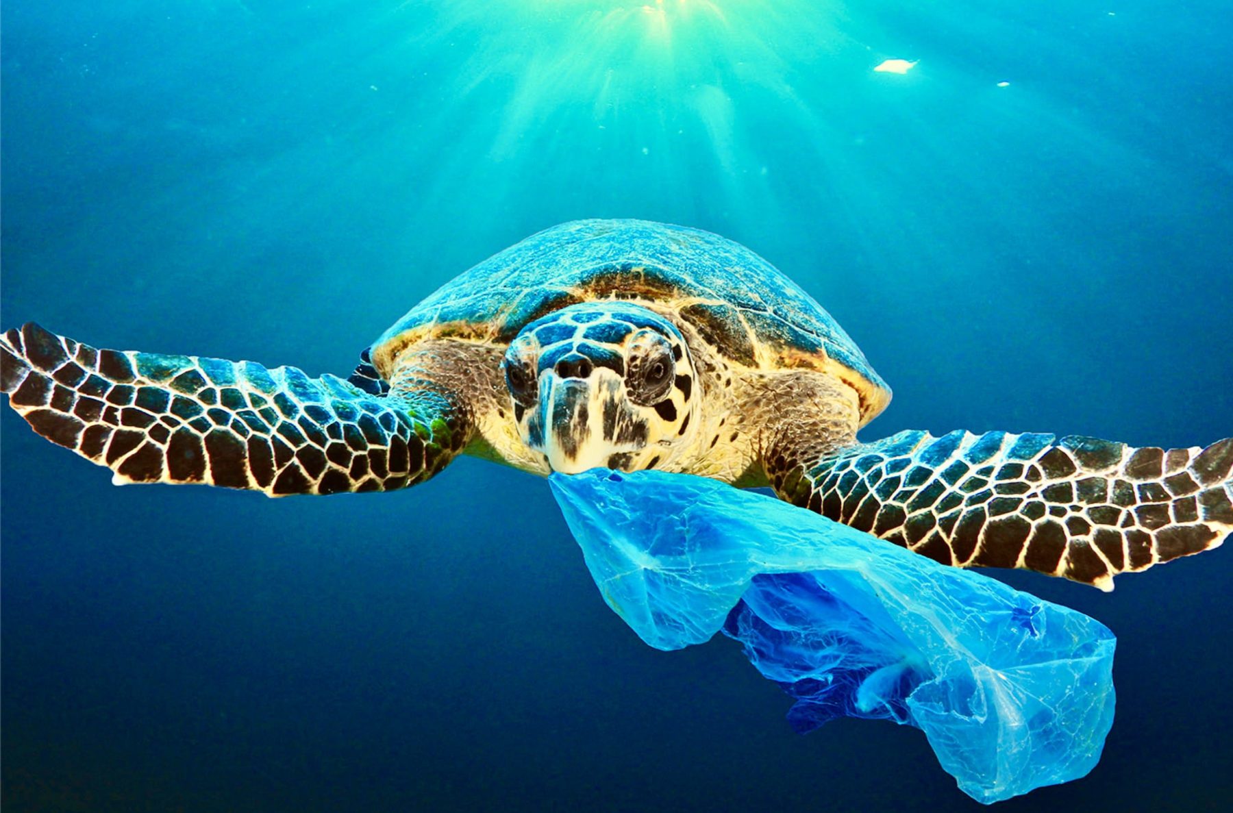 Je prends conscience de la pollution plastique dans les océans